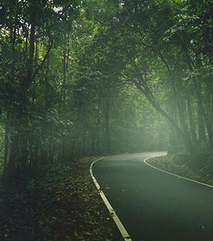 Kerala Backwaters & Hills