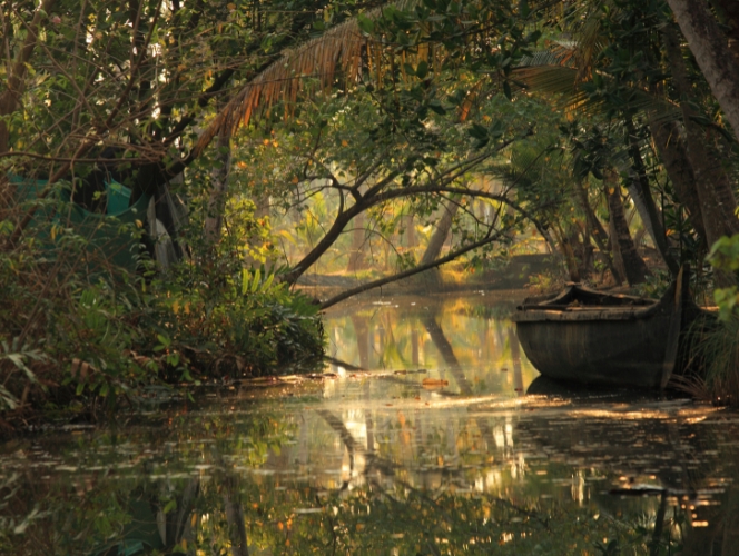 Kerala Tour Experience